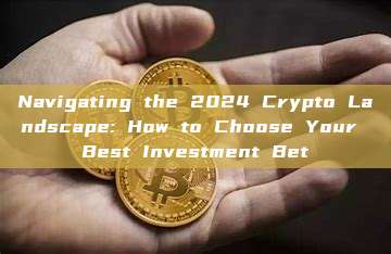 Navigating the 2024 Crypto Landscape: How to Choose Your Best Investment Bet