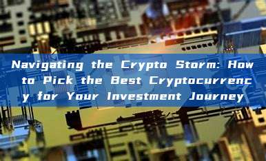 Navigating the Crypto Storm: How to Pick the Best Cryptocurrency for Your Investment Journey